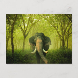Carte Postale Indian Elephant Superbe Grosse Forêt Verte Mammifè
