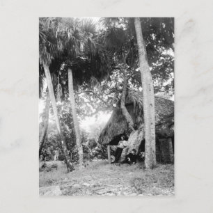 Carte Postale Indian River, Floride Getaway : 1890