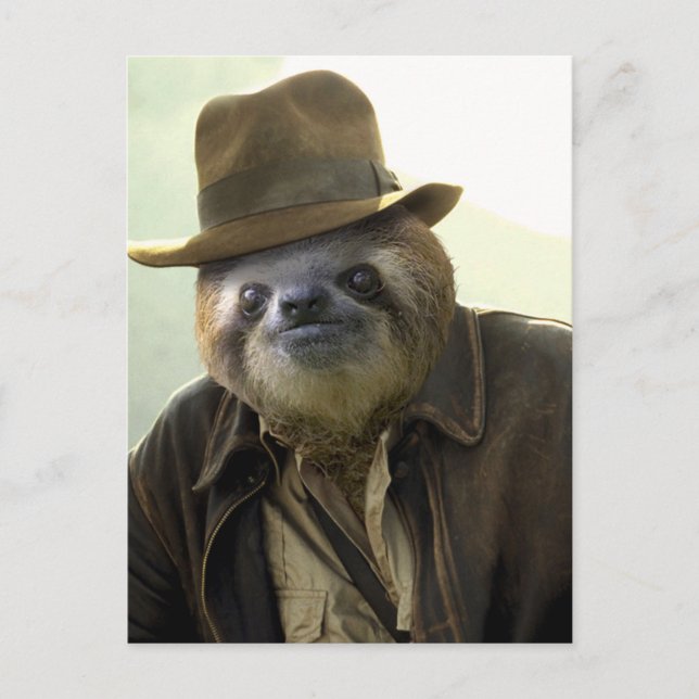 Carte Postale Indiana Sloth (Devant)