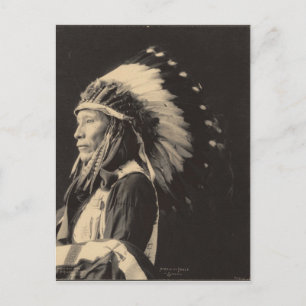 Carte Postale indien vintage : Craid of Eagle, Sioux -