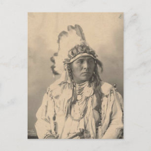 Carte Postale Indien vintage : Jack lapin tacheté, Corbeau -
