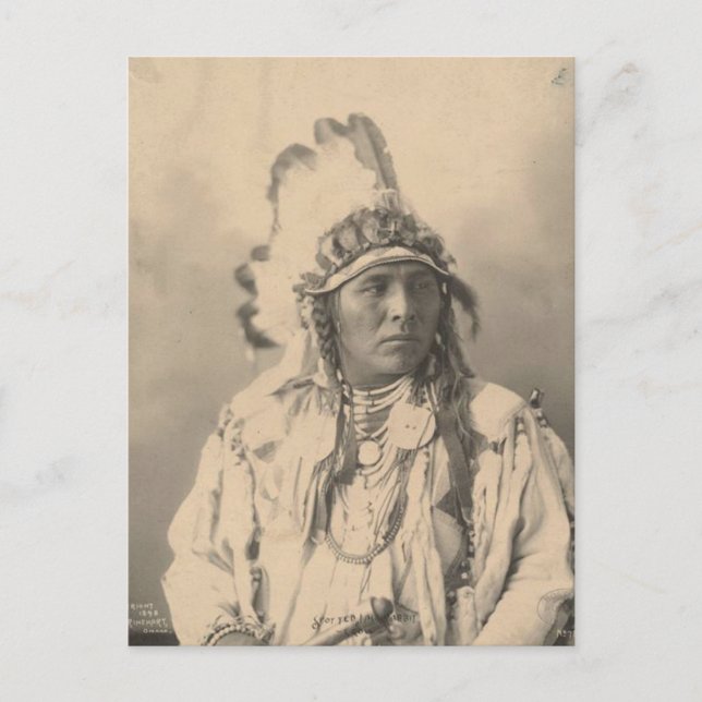 Carte Postale Indien vintage : Jack lapin tacheté, Corbeau - (Devant)