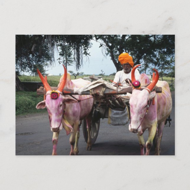 Carte postale indienne (Devant)