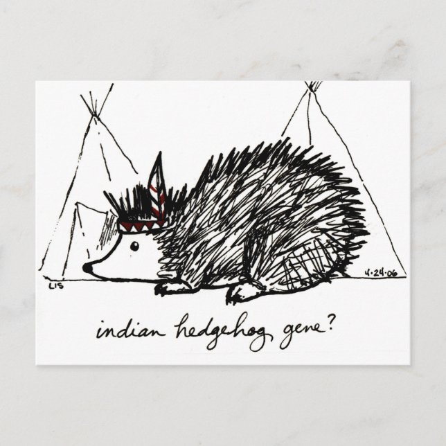 Carte postale indienne Hedgehog Gene (Devant)