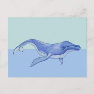 Carte postale individuelle baleine