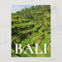 Indonesia, Bali | Rice Paddies