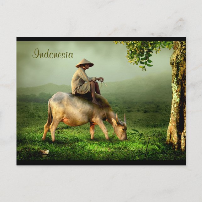 Carte Postale Indonesia Scenic landscape with Buffalo and Farmer (Devant)
