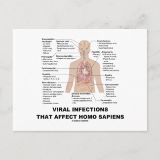 Carte Postale Infections virales qui affectent les Sapiens Homos