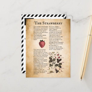 Carte Postale Informations vintages sur la fraise
