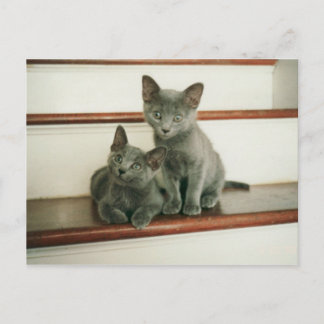 Carte postale Innocence