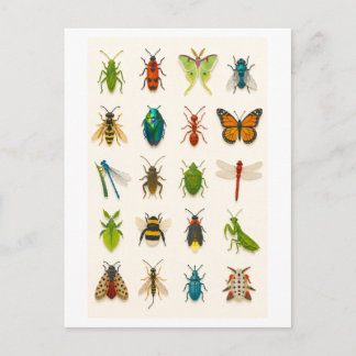 Carte Postale Insect Collage Illustration