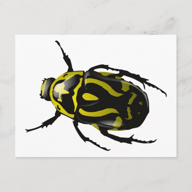 Carte Postale Insecte du scarabée jaune et noir (Devant)