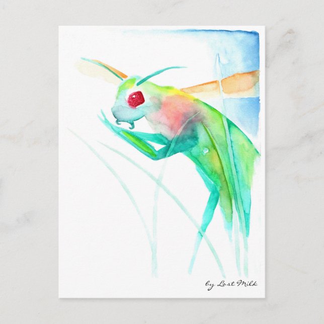 Carte Postale Insecte manchot dans les aquarelles colorées (Devant)