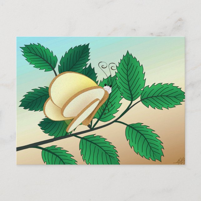 Carte Postale Insectes dans le miroir - Papillon de pain (Devant)