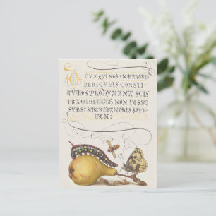 Carte Postale Insectes de jardin, mouche, chenille, poire, mille