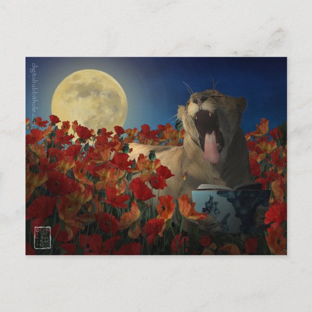 Carte Postale Insomnie (Devant)