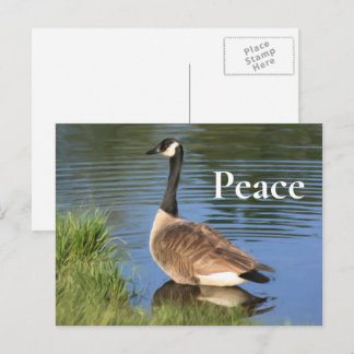 Carte Postale Inspiration du Canada pour la paix