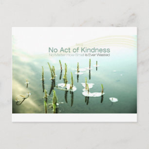 Carte Postale Inspiration Quote -- Aesop