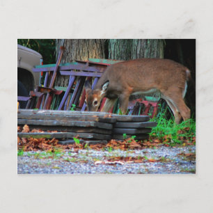 Carte Postale Intégration urbaine