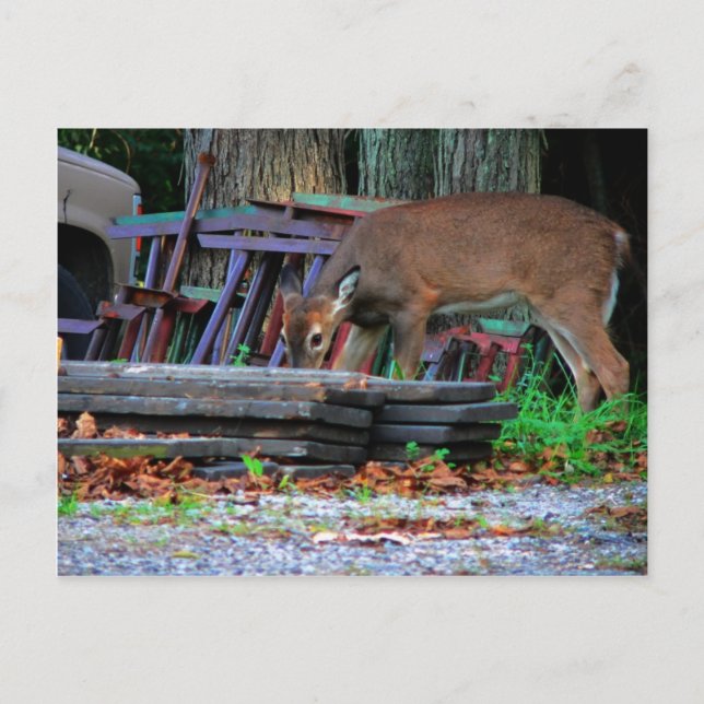 Carte Postale Intégration urbaine (Devant)