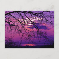 Intense et Vive - Paysage du coucher de soleil vio