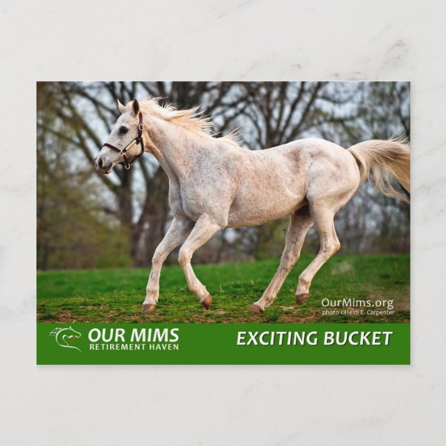 Carte postale Intéressante (Devant)