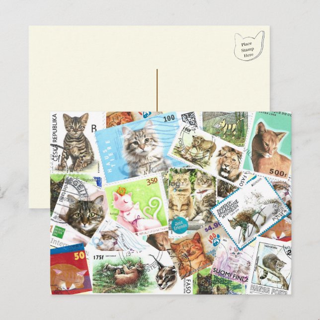 Carte Postale Internationale Cat Postage (Devant / Derrière)