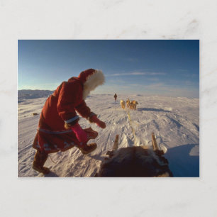 Carte Postale Inuk fille avec équipe de chien, Pelly Bay