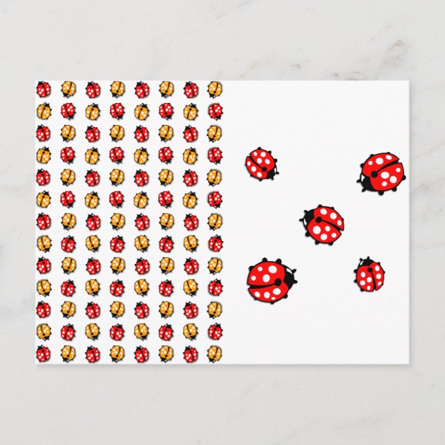 Carte Postale Invasion de coccinelles (Devant)