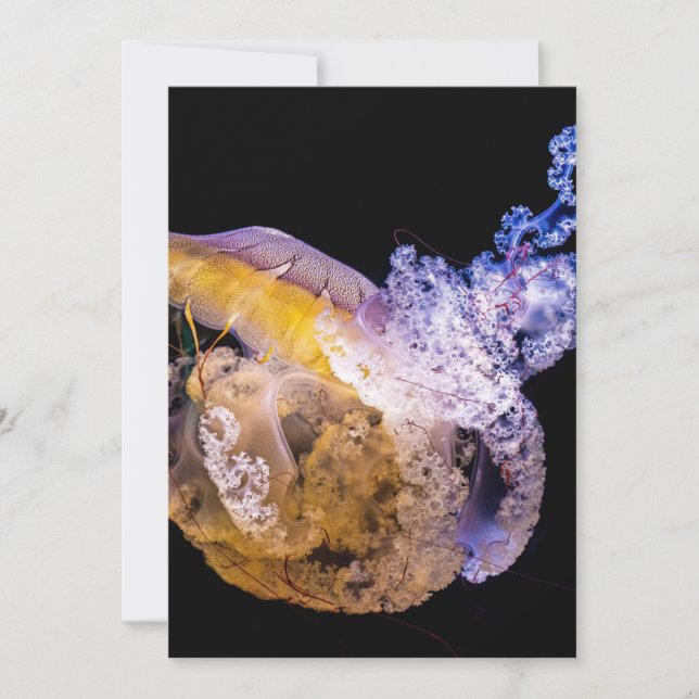 Carte postale Invitation 5" x 7" (Devant)