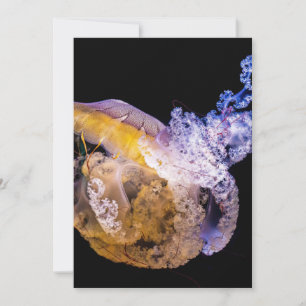Carte postale Invitation 5" x 7"
