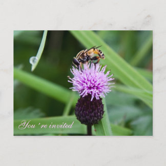 Carte postale invitation aux abeilles