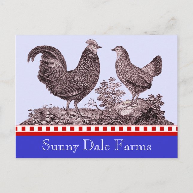 Carte Postale Invitation de poulets pour pique-nique, Marché fer (Devant)