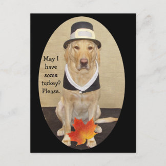 Carte Postale Invitation de Thanksgiving