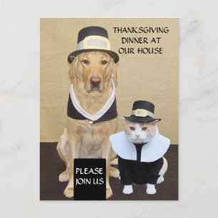 Carte postale/invitation de thanksgiving