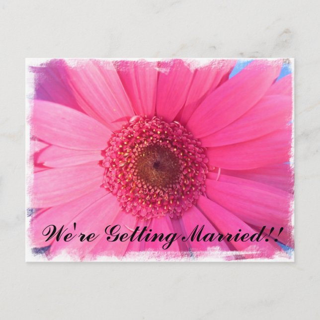 Carte Postale Invitation Gerber Daisy (Devant)