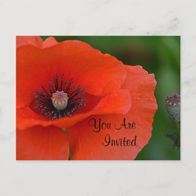 Carte Postale Invitation Red Poppy (Devant)