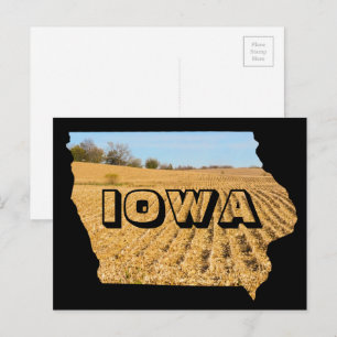 Carte Postale Iowa Pittoresque Cornfield Nature Photographie Voy
