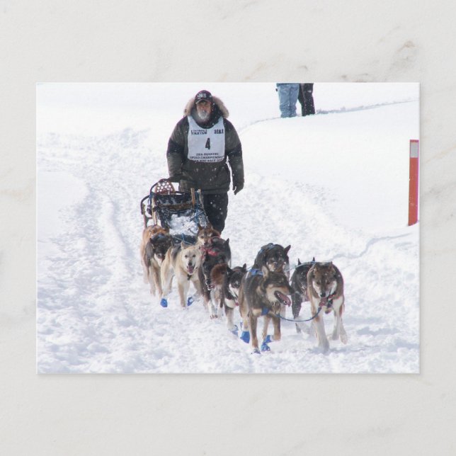 Carte postale IPcture Perfect 2009 UP 200 (Devant)