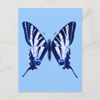 Carte postale Iphiclides podalirius