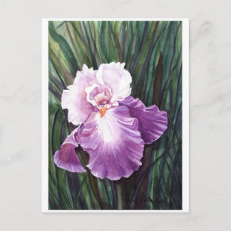 Carte postale Iris