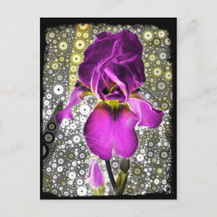Carte postale Iris