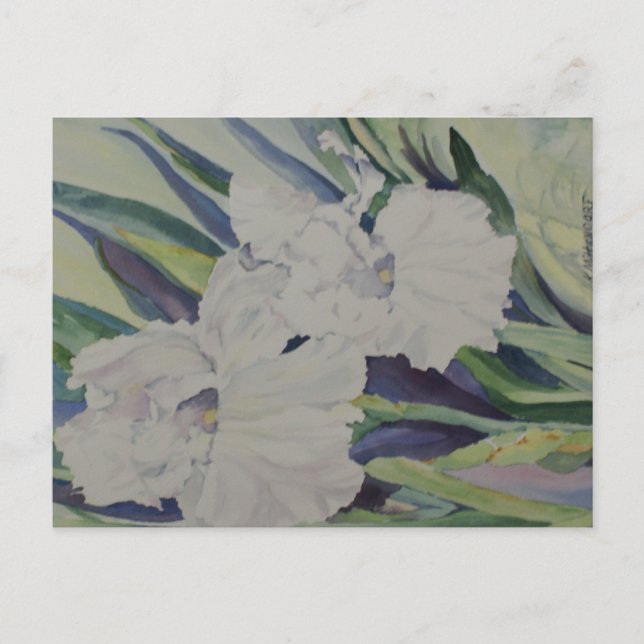 Carte postale Iris (Devant)