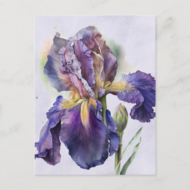 Carte Postale Iris (Devant)