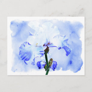 Carte Postale Iris Arborés - Bleu Et Blanc