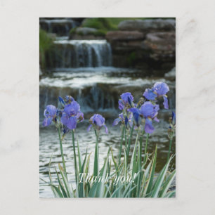 Carte Postale Iris au Château Merci