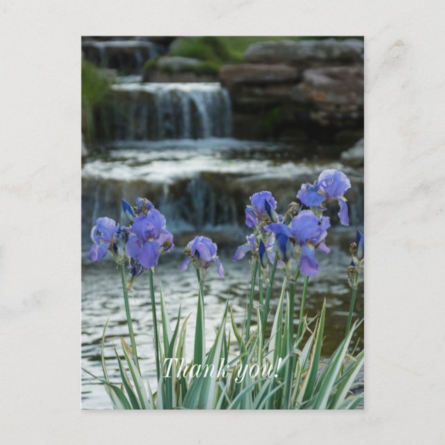 Carte Postale Iris au Château Merci (Devant)
