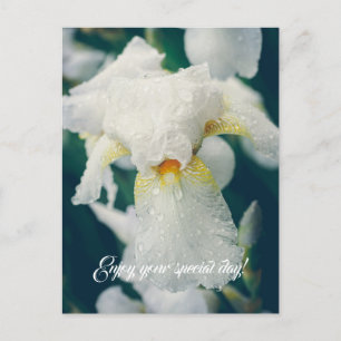 Carte Postale Iris avec gouttelettes d'eau