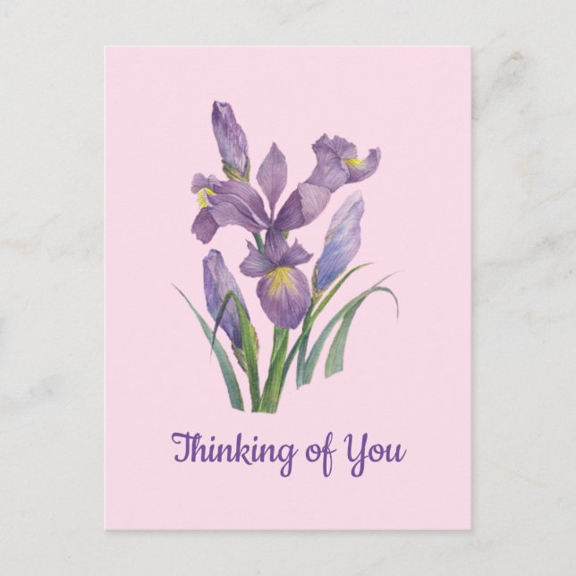 Carte Postale Iris botanique aquarelle violet Pensée pour vous (Devant)