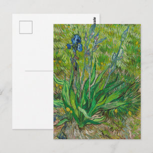 Carte Postale Iris de Van Gogh - Art floral bleu classique
